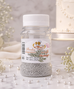 Boule de décoration Argent n°00